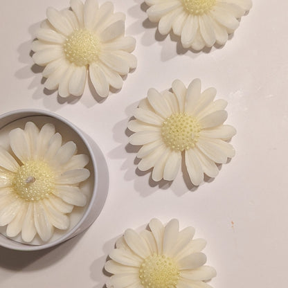 gänseblümchen sojawachs blumenkerzen, handgemachte kerzen, Muttertagsgeschenk, geschenk beste freundin, wohnzimmer deko, duftkerzen im glas