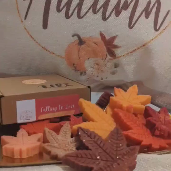 wohlfühlmomente Duftwachs, herbst düfte, modern deko wohnzimmer, herbst deko ideen, herbstdeko, herbstliche duftkerzen, handgemachte deko