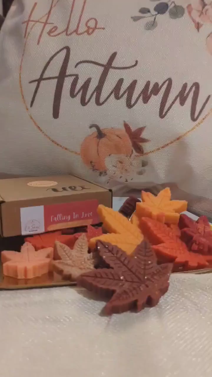 wohlfühlmomente Duftwachs, herbst düfte, modern deko wohnzimmer, herbst deko ideen, herbstdeko, herbstliche duftkerzen, handgemachte deko