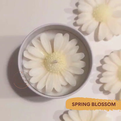 gänseblümchen sojawachs blumenkerzen, handgemachte kerzen, Muttertagsgeschenk, geschenk beste freundin, wohnzimmer deko, duftkerzen im glas